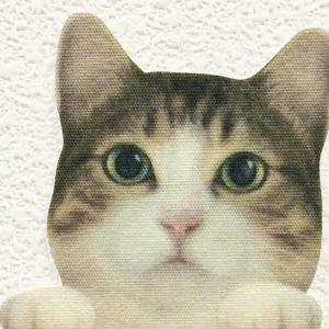 カラー ウォールステッカー 「CAT LI F...の詳細画像1