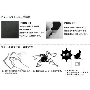 猫 ウォールステッカー 「CAT LIFE キ...の詳細画像4