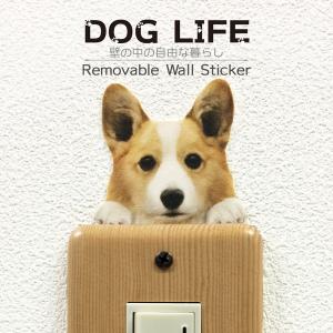 DOG LIFE Color ドッグライフ カラー 「コーギーC」 犬 カラー ウォールステッカー