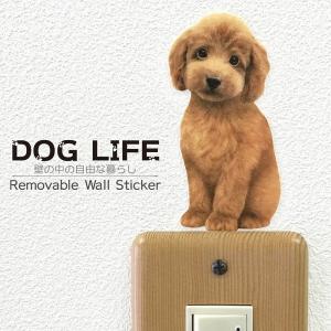 DOG LIFE Color ドッグライフ カラー 「トイプードル レッド（お座り）」 犬 カラー ウォールステッカー｜toyolabo