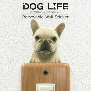 DOG LIFE Color ドッグライフ カラー 「フレンチブルドッグB」 犬 カラー ウォールステッカー｜toyolabo