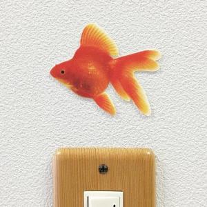 金魚 水槽 壁紙 家具 インテリア用品 の商品一覧 通販 Yahoo ショッピング