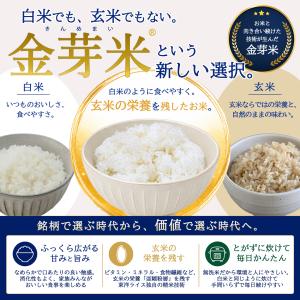 ●1000円OFFクーポン配布中●公式ストア【...の詳細画像1