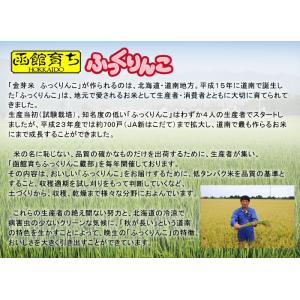 公式ストア【玄米の栄養を残したごはん】金芽米【...の詳細画像1