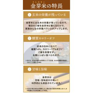 公式ストア【玄米の栄養を残したごはん】金芽米【...の詳細画像2