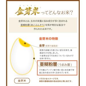 公式ストア【玄米の栄養を残したごはん】金芽米【...の詳細画像3