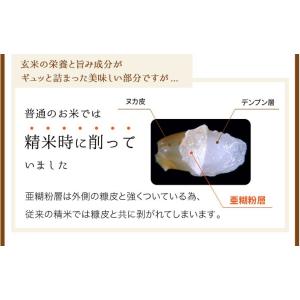 公式ストア【玄米の栄養を残したごはん】金芽米【...の詳細画像4