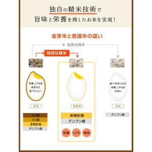 公式ストア【玄米の栄養を残したごはん】金芽米【...の詳細画像5