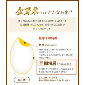 公式ストア【玄米の栄養を残したごはん】金芽米【...の詳細画像2