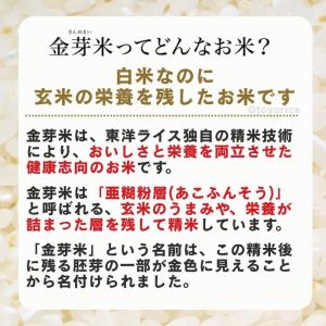 公式ストア【玄米の栄養を残したごはん】金芽米【...の詳細画像1