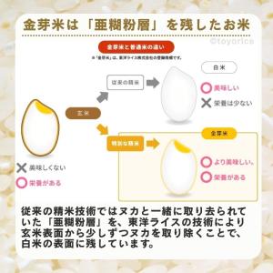 公式ストア【玄米の栄養を残したごはん】金芽米【...の詳細画像2