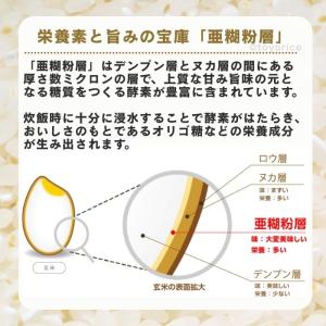 公式ストア【玄米の栄養を残したごはん】金芽米【...の詳細画像3