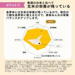 公式ストア【玄米の栄養を残したごはん】金芽米【...の詳細画像5