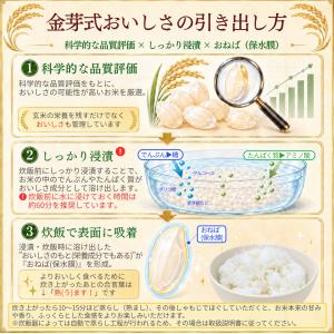 公式ストア【玄米の栄養を残したごはん】金芽米【...の詳細画像5