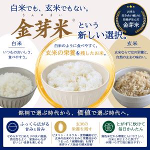公式ストア【玄米の栄養を残したごはん】金芽米【...の詳細画像1
