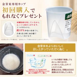 公式ストア【玄米の栄養を残したごはん】金芽米【...の詳細画像5