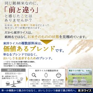 ●1000円OFFクーポン配布中●公式ストア【...の詳細画像2