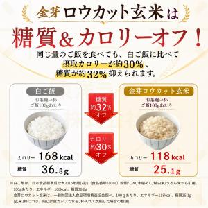 ■期間限定週末SALE(次回8/21~8/23...の詳細画像4