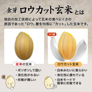 公式ストア 【無洗米】金芽ロウカット玄米 4k...の詳細画像3