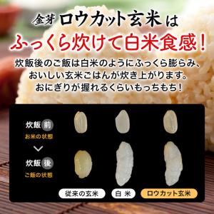 公式ストア 【無洗米】金芽ロウカット玄米 4k...の詳細画像4