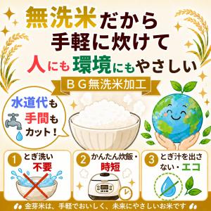 公式ストア【玄米の栄養と白米の食べやすさを両立...の詳細画像1