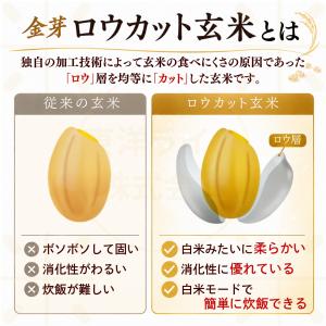 公式ストア【玄米の栄養と白米の食べやすさを両立...の詳細画像3