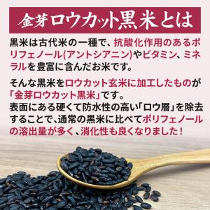 公式ストア●人気商品 販売再開●【無洗米】金芽...の詳細画像3