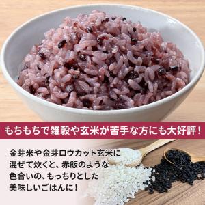 公式ストア●人気商品 販売再開●【無洗米】金芽...の詳細画像4
