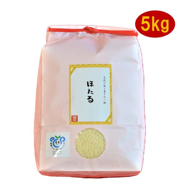 令和7年産　ミルキークイーン　精米　白米　５kg　５キロ　お米　お歳暮　お年賀　お中元　内祝い　ご挨...