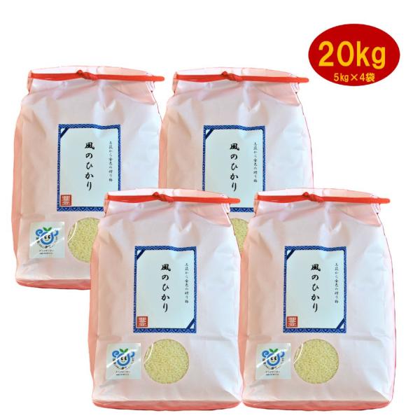 令和7年産　コシヒカリ　こしひかり　白米　20kg　20キロ　お米　お歳暮　お年賀　お中元　内祝い　...