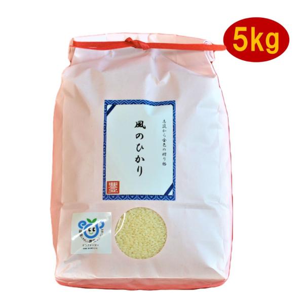 令和5年産　コシヒカリ　こしひかり　白米　５kg　５キロ　お米　お歳暮　お年賀　お中元　内祝い　ご挨...