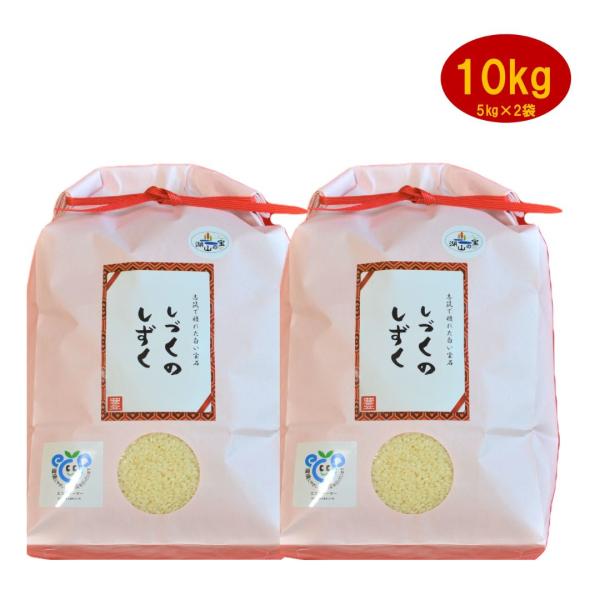 令和7年産　お米　ミルキークイーン　白米　精米　10kg　しづくのしずく