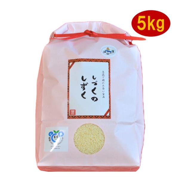 令和7年産　お米　ミルキークイーン　白米　5kg　しづくのしずく　