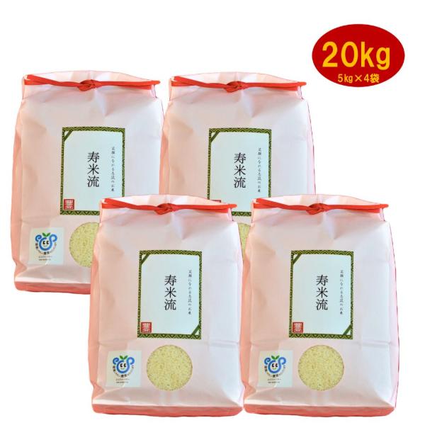令和7年産　コシヒカリ　こしひかり　白米　20kg　20キロ　お米　お歳暮　お年賀　お中元　内祝い　...