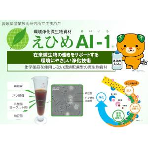 えひめAI-1(あいいち)2L 東レコムズ愛媛...の詳細画像1
