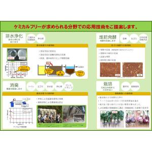 えひめAI-1(あいいち)2L 東レコムズ愛媛...の詳細画像2