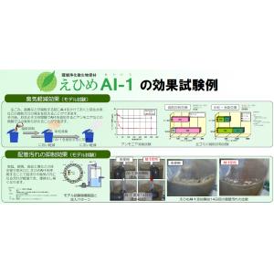 えひめAI-1(あいいち)2L 東レコムズ愛媛...の詳細画像3