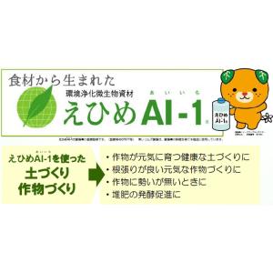 えひめAI-1(あいいち)園芸用 2L 東レコ...の詳細画像1