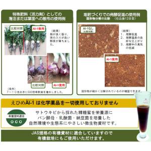 えひめAI-1(あいいち)園芸用 2L 東レコ...の詳細画像2