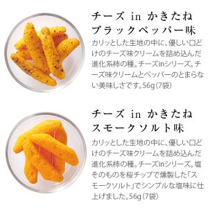 公式 かきたねキッチン 柿の種 かきのたね 柿...の詳細画像2