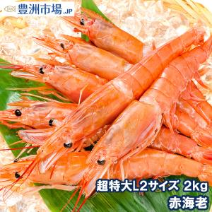 赤海老 2kg（特大Ｌ2・40〜60尾・業務用1箱）