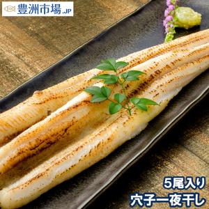 穴子 あなご アナゴ 穴子一夜干し 5尾入り×1パック