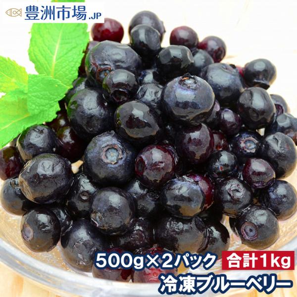 ブルーベリー 冷凍ブルーベリー 1kg 500g×2パック 冷凍フルーツ ヨナナス