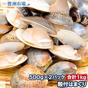 はまぐり 1kg 500g×2  ハマグリ 蛤 ボイルハマグリ