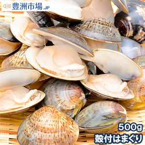 はまぐり 500g  ハマグリ 蛤 ボイルハマグリ