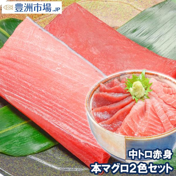 (マグロ まぐろ 鮪) 本まぐろ 中トロ 200g＆赤身200gセット (本マグロ 本鮪 刺身) 海...