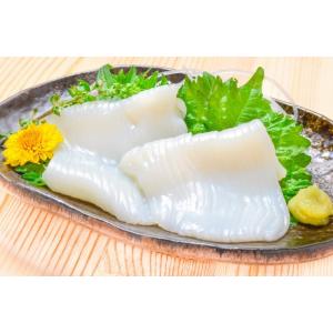 お中元 国産 いかそうめん イカソーメン 40...の詳細画像2