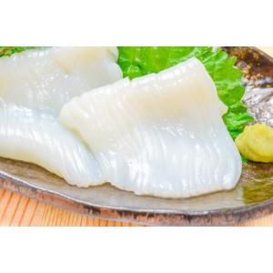 お中元 国産 いかそうめん イカソーメン 40...の詳細画像3