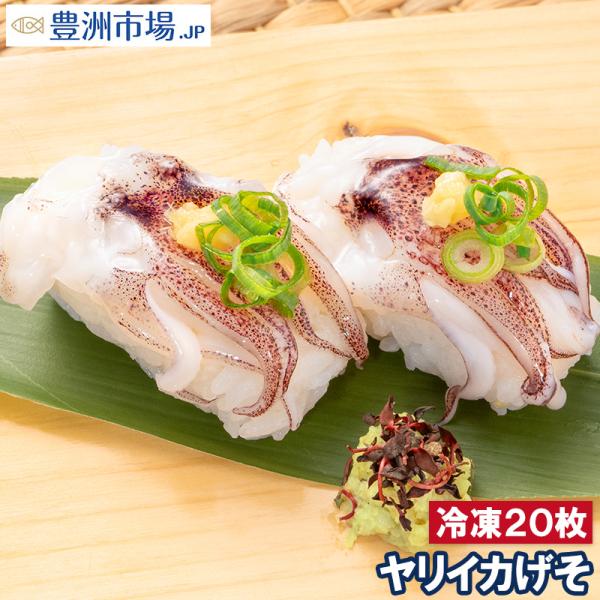 ヤリイカげそ 20枚 寿司ネタ 刺身用 いか イカ 烏賊 イカゲソ いかげそ イカ下足