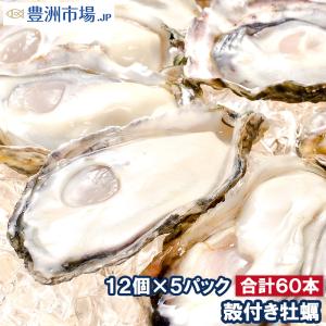 生牡蠣 殻付き 生食用カキ（60個入り 冷凍殻付き牡蠣 生食用）｜toyosushijou